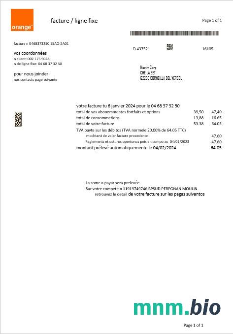 Szablon rachunku za media biznesowe France Orange w formatach Word i PDF
